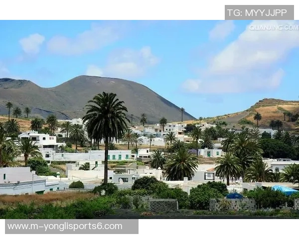 加纳足球队的崛起与挑战：从历史辉煌到未来展望的全景分析